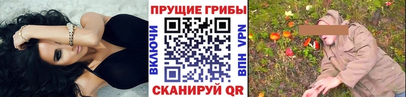 гидра ТОР  Верхнеуральск  Галлюциногенные грибы GOLDEN TEACHER 